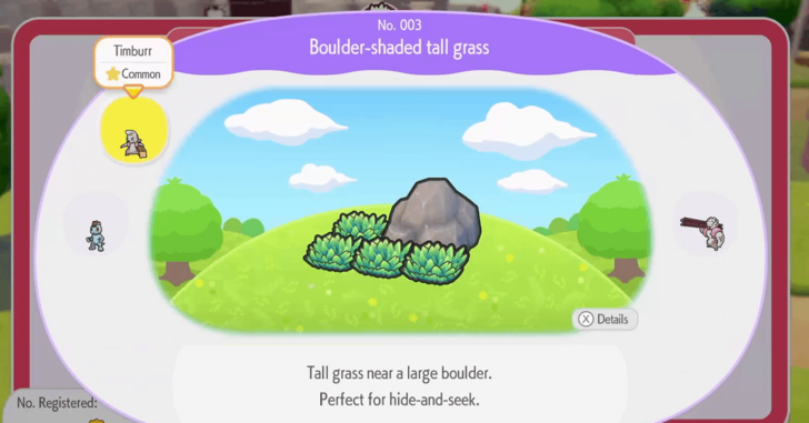 Boulder-shaded tall grass