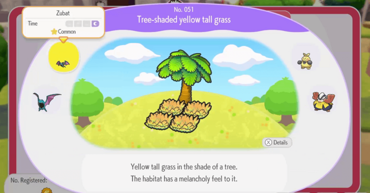 Tree-shaded yellow tall grass