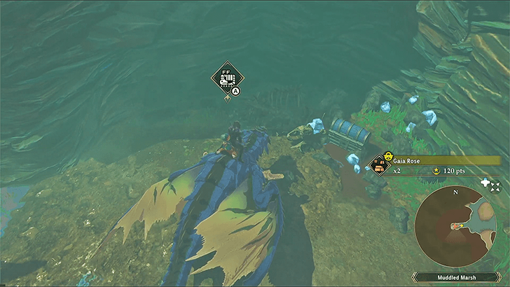 Muddled Marsh Chest 4