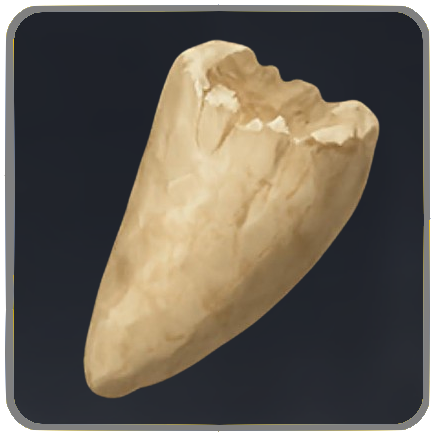 Seven Deadly Sins Origin- Small Hatchling Tooth