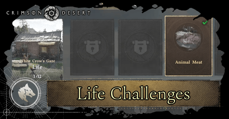 Life Challenges