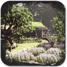 Pororin Research Institute - Hernand Quest