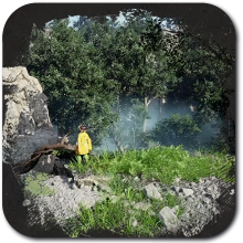 Trembling Woods - Hernand Quest