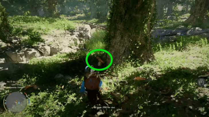 Trembling Woods Location