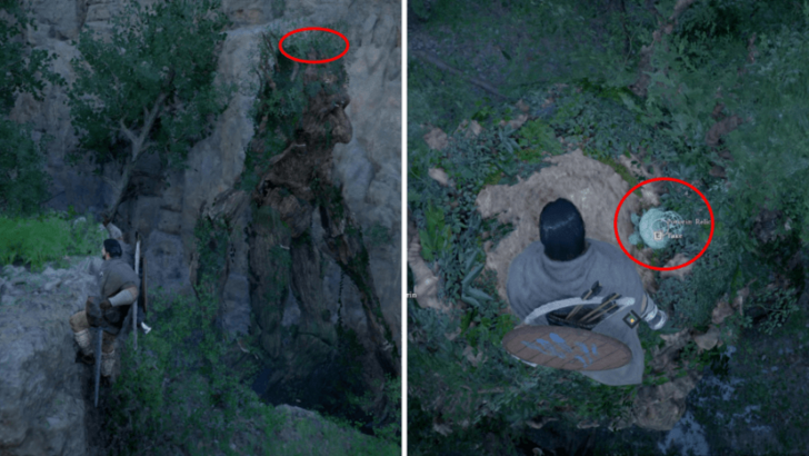 Grab the Pororin Relic