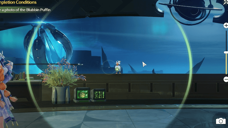 Take a Photo of the Blubbin Puffin