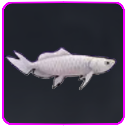 Seven Deadly Sins Origin- Silver Arowana