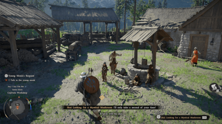 Mushrooms Growing Among Poisons Location