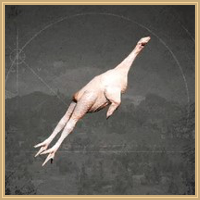 Bird Meat Icon