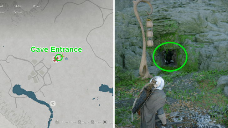 Mystical Pine Mushroom Location