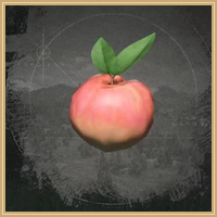 Peach Icon