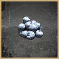 Blueberry Icon