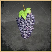 Grape Icon
