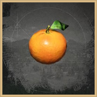 Orange Icon