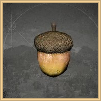 Acorn Icon