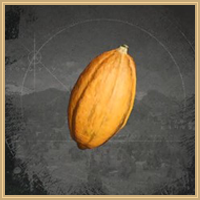 Cacao Icon