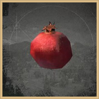Pomegranate Icon