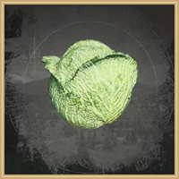 Cabbage Icon