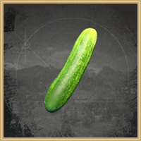 Cucumber Icon