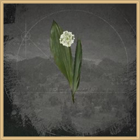 Wild Garlic Icon