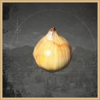 Onion Icon