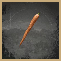 Carrot Icon
