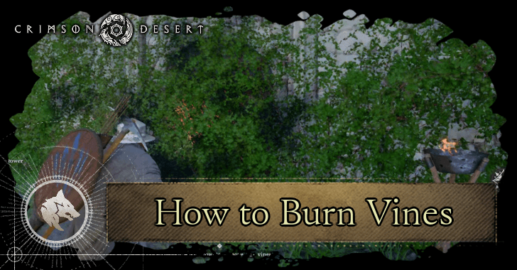 How to Burn Vines