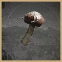 Oakwood Mushroom Icon