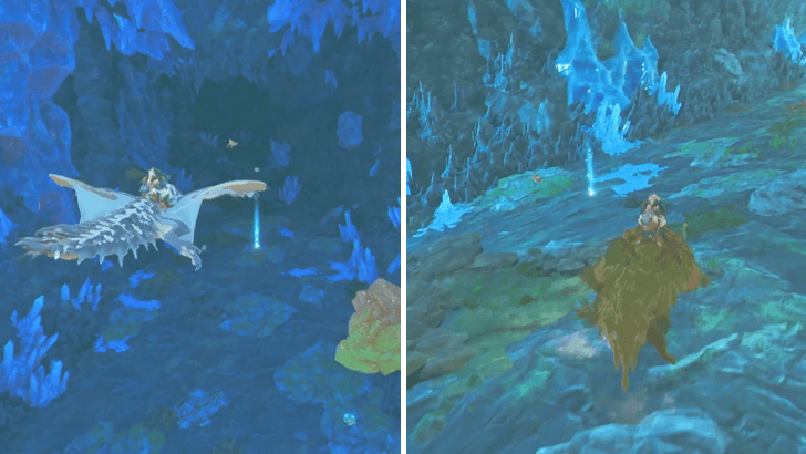 ch 2 - Search for more clues