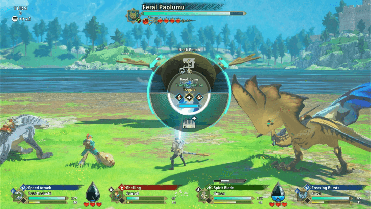 Pierce Weapon Neck Pouch