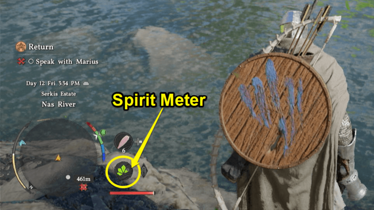 Spirit Meter
