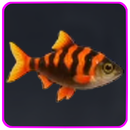 Seven Deadly Sins Origin- Sizziling Mullet