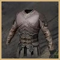 Blackwing Leather Armor Icon