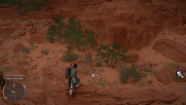 Apex of the Food Chain