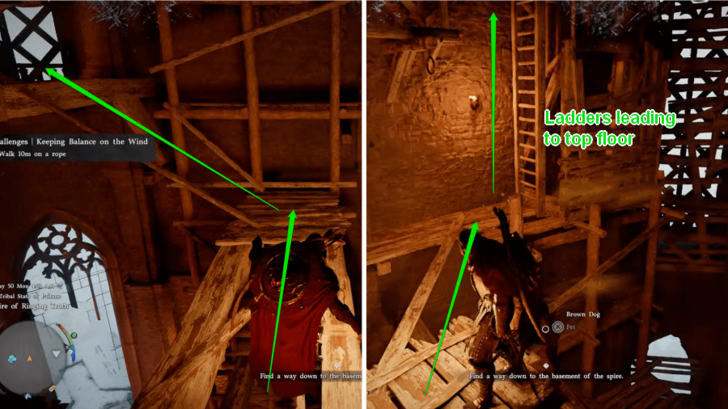 Take the Last Ladder