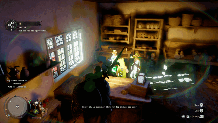 Demeniss City Pet Shop Overworld