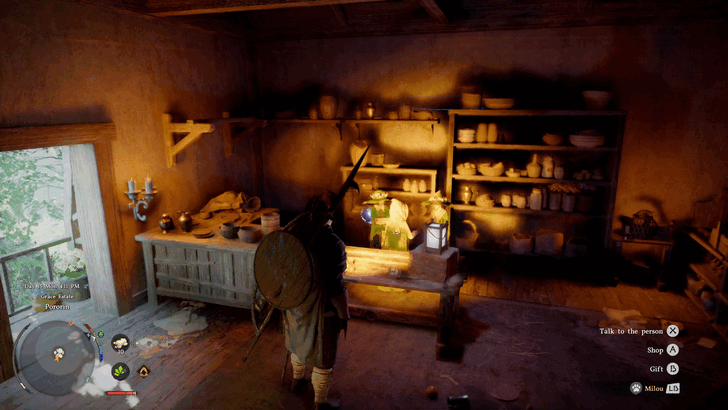 Pororin Village Pet Shop Overworld