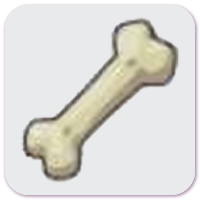 Rare Bone