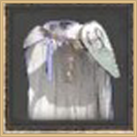 Canta Plate Cloak Icon