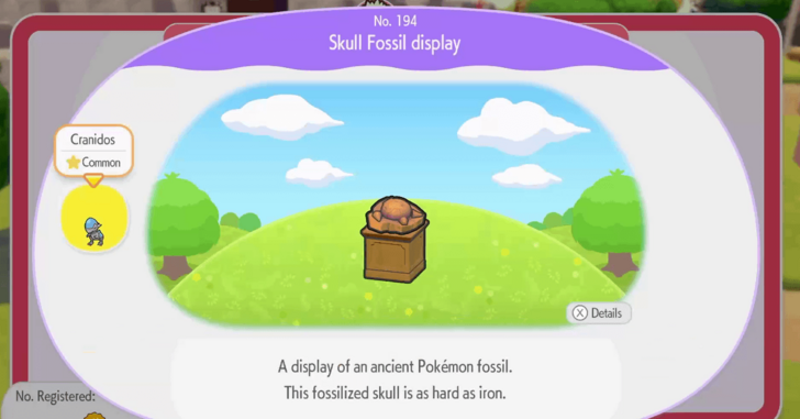 Skull Fossil display