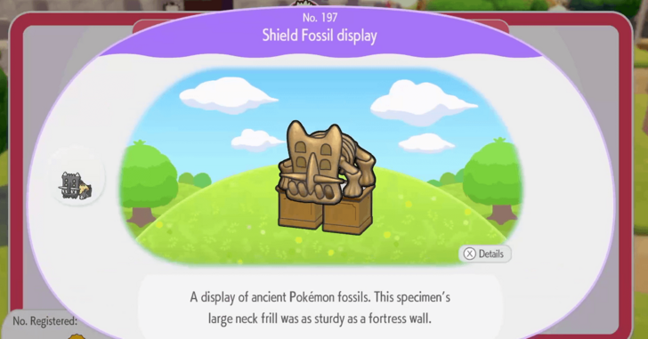 Shield Fossil display