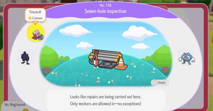 Sewer-hole inspection