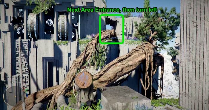 Kliff Overlooking Chaos Forest Chamber