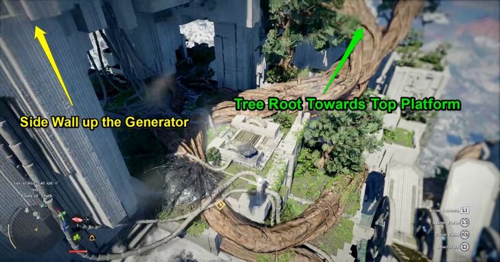 Roots of Truth Side Wall and Tree Root