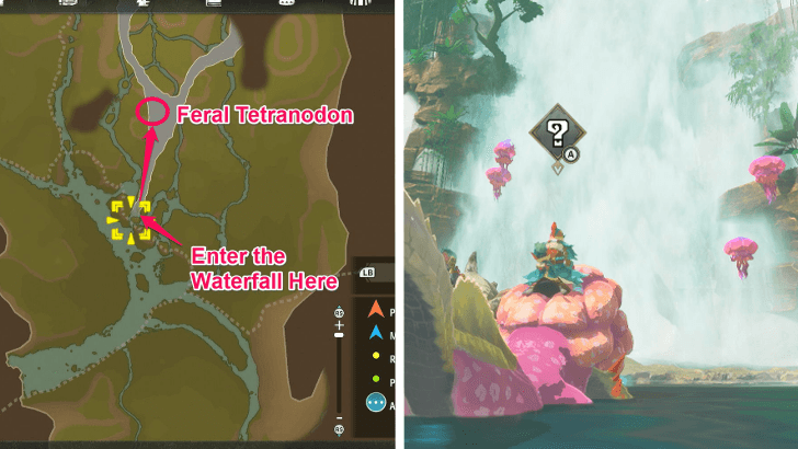 Feral Tetranadon Location