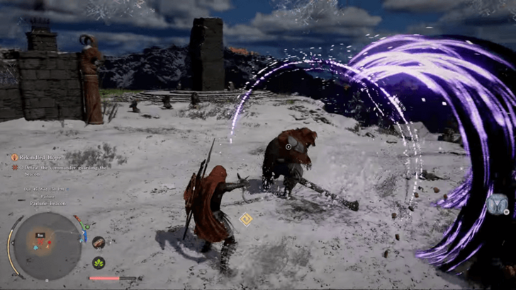 Black Bear Commander Fight