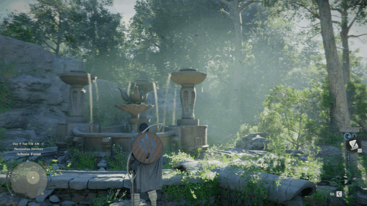 Arboria Forest Ruins Solution Step 2