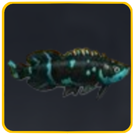 Seven Deadly Sins Origin- Luminous Arowana