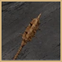 Cactus Warhammer Icon