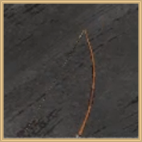 Competition Wooden Bow Icon